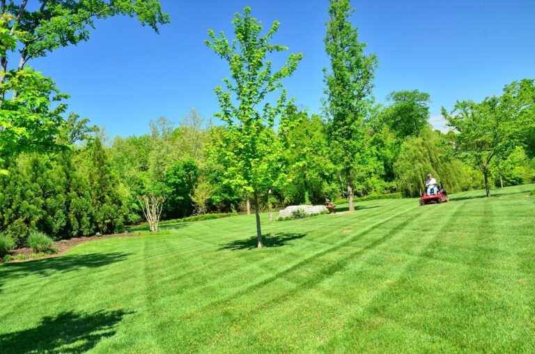 mowing lawn